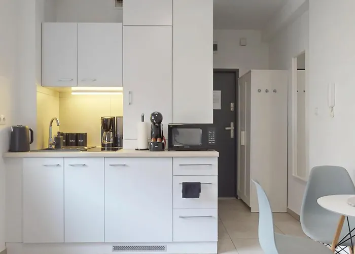 Fibra Choco * ריבניק